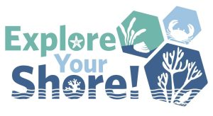 Explore Your Shore Logo